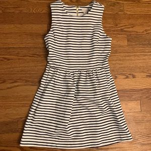 JCrew Dress XS Petite Fit Flare Style Pockets